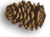 Captcha image 8866