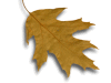 Captcha image 6949